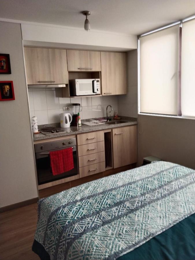 شقة Concepción  في Departamento Nuevo Tipo Estudio En Pleno Centro -8 المظهر الخارجي الصورة
